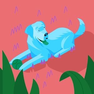 Meet your Posher, Avery